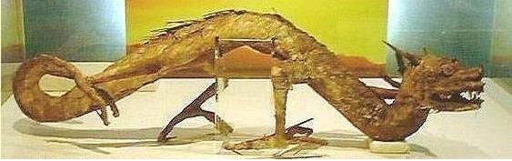 揭秘真的有龙存在吗,龙是怎么来的,龙有哪些特点