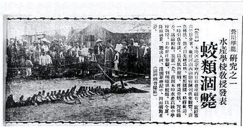 揭秘真的有龙存在吗,龙是怎么来的,龙有哪些特点