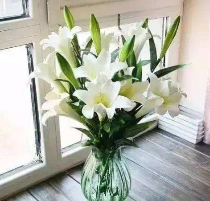 家里有这些花注意了,赶快扔,否则身体越来越差（图）