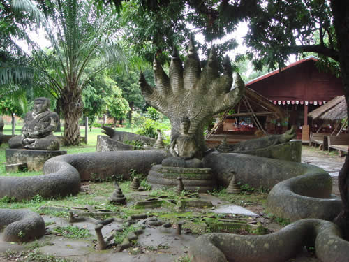 千年难见的七头蛇：七头蛇是真的吗（图）