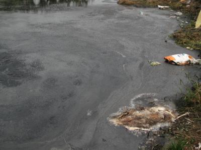 日本十大恐怖片:日本最恐怖的鬼片排行榜 日本十大恐怖片:日本最恐怖的鬼片排行榜