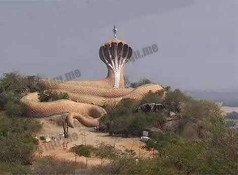 五头蛇的罕见的图片：五头蛇图片,五头蛇是真的吗