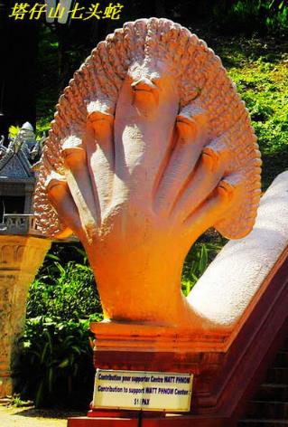 五头蛇的罕见的图片：五头蛇图片,五头蛇是真的吗