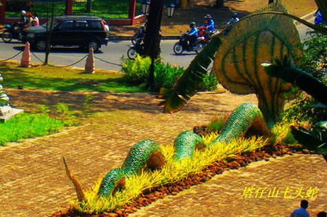 五头蛇的罕见的图片：五头蛇图片,五头蛇是真的吗