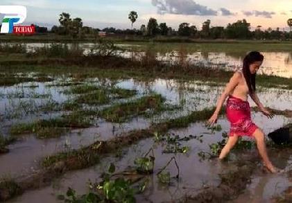 美女姐姐带弟弟在田野捉鱼 下一幕让人羡慕（组图）