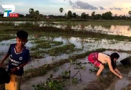 美女姐姐带弟弟在田野捉鱼 下一幕让人羡慕（组图）
