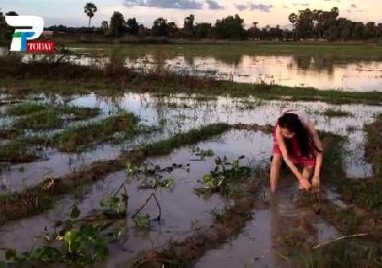 美女姐姐带弟弟在田野捉鱼 下一幕让人羡慕（组图）