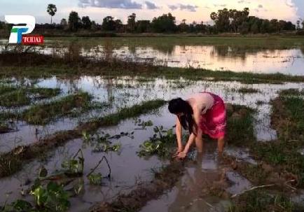 美女姐姐带弟弟在田野捉鱼 下一幕让人羡慕（组图）