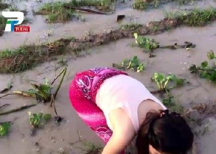 美女姐姐带弟弟在田野捉鱼 下一幕让人羡慕（组图）