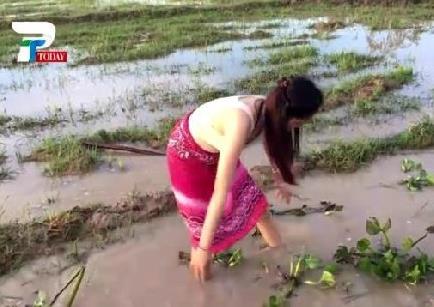 美女姐姐带弟弟在田野捉鱼 下一幕让人羡慕（组图）