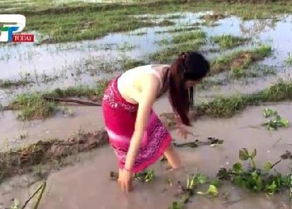 美女姐姐带弟弟在田野捉鱼 下一幕让人羡慕（组图）