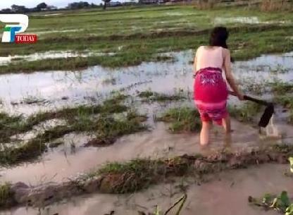 美女姐姐带弟弟在田野捉鱼 下一幕让人羡慕（组图）