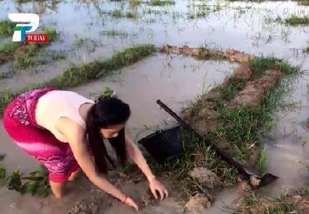 美女姐姐带弟弟在田野捉鱼 下一幕让人羡慕（组图）