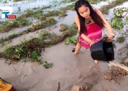 美女姐姐带弟弟在田野捉鱼 下一幕让人羡慕（组图）