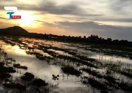 美女姐姐带弟弟在田野捉鱼 下一幕让人羡慕（组图）