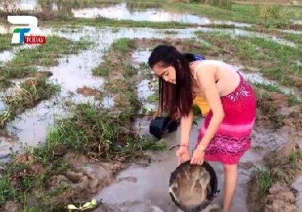 美女姐姐带弟弟在田野捉鱼 下一幕让人羡慕（组图）