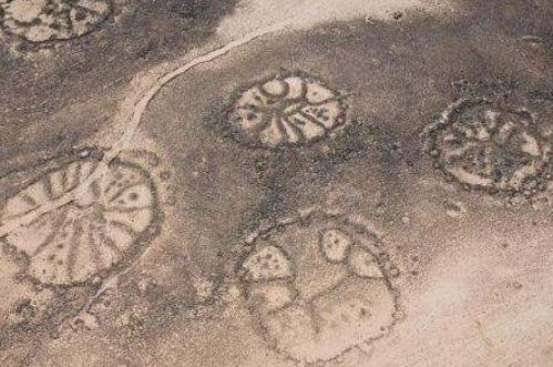 十大奇特的自然现象盘点：惊喜又不解（图）