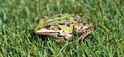 十大奇特的自然现象盘点:惊喜又不解(图) 十大奇特的自然现象盘点:惊喜又不解(图)