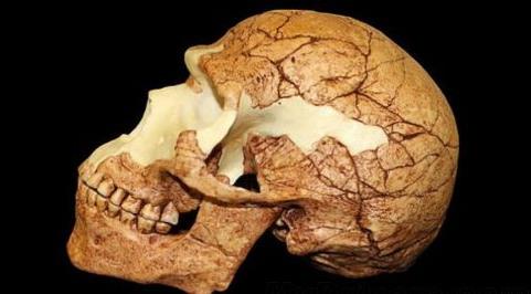 十大奇特的自然现象盘点:惊喜又不解(图) 十大奇特的自然现象盘点:惊喜又不解(图)