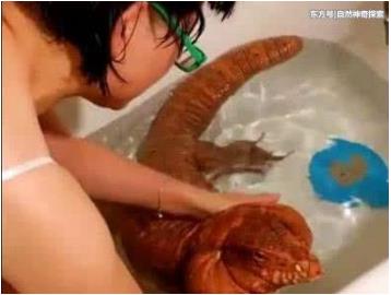 女子和宠物一同在浴缸里：一女子养了一只宠物网友害怕