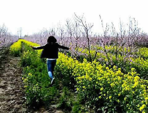 世界上20个最壮观踏青之地:中国上榜的地方在这里 世界上20个最壮观踏青之地:中国上榜的地方在这里