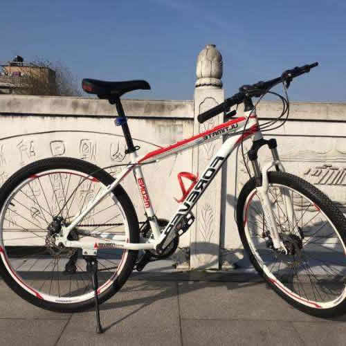 中国十大山地车品牌排行:最新2018十大自行车品牌 中国十大山地车品牌排行:最新2018十大自行车品牌