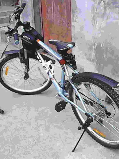 中国十大山地车品牌排行:最新2018十大自行车品牌 中国十大山地车品牌排行:最新2018十大自行车品牌