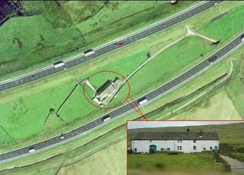 最牛钉子树活400年：全球钉子大盘点没有最强只有更强