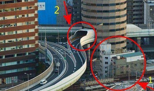 最牛钉子树活400年：全球钉子大盘点没有最强只有更强