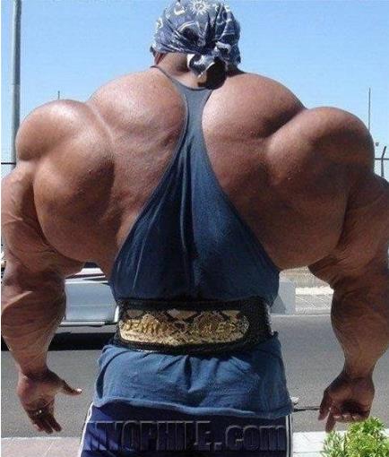 世界最强壮男人:肌肉比头大,史上最强壮10个男人 世界最强壮男人:肌肉比头大,史上最强壮10个男人