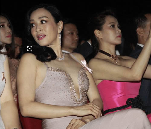 48岁钟丽缇疑再怀孕：钟丽缇资料背景,钟丽缇感情经历