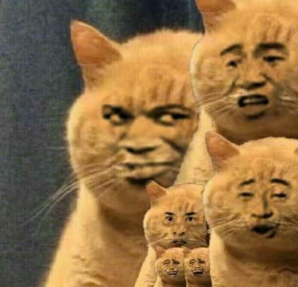 戴美瞳眼角膜成这样:长期戴美瞳的危害,戴美瞳注意事项 戴美瞳眼角膜成这样:长期戴美瞳的危害,戴美瞳注意事项