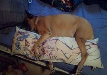 母胎solo什么意思：母胎solo出处及发展经历,母胎solo表情包