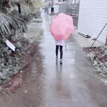 如果天突然下起了雨我不会避躲:是什么歌曲谁唱的介绍 如果天突然下起了雨我不会避躲:是什么歌曲谁唱的介绍