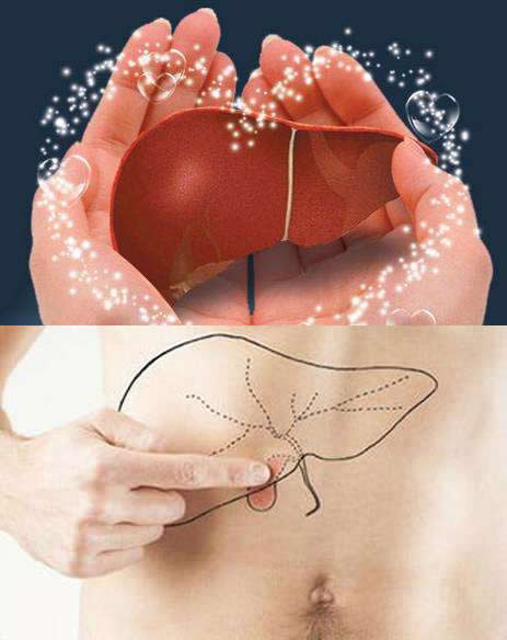 十大伤肝行为排行榜:第一名竟是它(肝不好未老人先倒) 十大伤肝行为排行榜:第一名竟是它(肝不好未老人先倒)