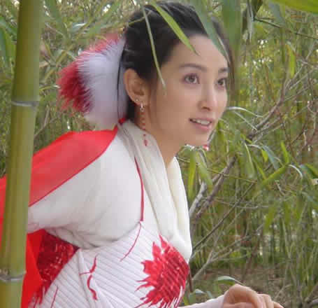 李冰冰秀小蛮腰：时尚完美结合,李冰冰资料介绍及影视剧照