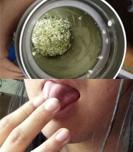 石楠花可以吃吗：污花之王石楠花泡水什么味道,石楠花泡茶