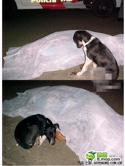 老师救娃照感动多人：十年后重聚画面,感人照片大盘点