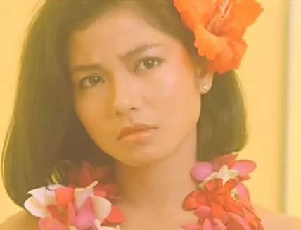 80年之前中国十大女神排行榜：女神级别十大美女明星