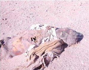 为什么说王莽是彭加木：彭加木事件是怎么回事,真相大揭秘