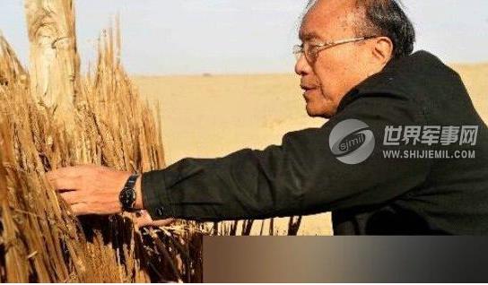 为什么说王莽是彭加木：彭加木事件是怎么回事,真相大揭秘