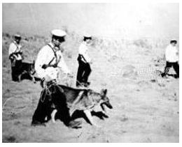 为什么说王莽是彭加木：彭加木事件是怎么回事,真相大揭秘