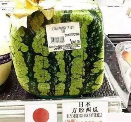 小伙花了1688元买了个方形西瓜,回家切开一看,蒙圈了!