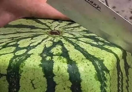 小伙花了1688元买了个方形西瓜,回家切开一看,蒙圈了!