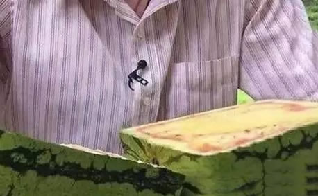 小伙花了1688元买了个方形西瓜,回家切开一看,蒙圈了!