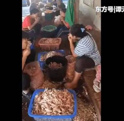 无骨鸡爪竟是工人用嘴啃出来的 网友:恶心（图）