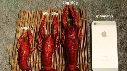 小龙虾全世界都爱吃:2018小龙虾价格,小龙虾正确吃法图解 小龙虾全世界都爱吃:2018小龙虾价格,小龙虾正确吃法图解