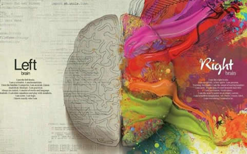 人类大脑十大未解之谜:关于人类的大脑其实很可怕 人类大脑十大未解之谜:关于人类的大脑其实很可怕