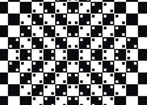 黑林错觉:黑林错觉图片,视觉方面的错觉 黑林错觉:黑林错觉图片,视觉方面的错觉