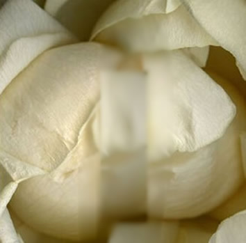 女人十大名器详解:不一样的外阴形状不一样的感觉 女人十大名器详解:不一样的外阴形状不一样的感觉